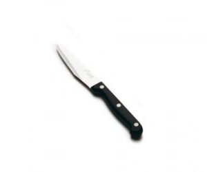 COLTELLO BASIC A LAMA CORTA