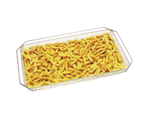 CESTE X FRIGGERE GN 1/1 CM 53X32,5