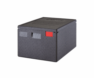 TERMICO 62,5x42,5cm H.30,5cm